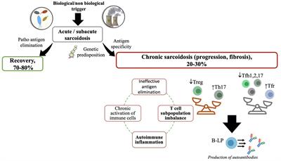 Sarcoidosis related autoimmune inflammation in COVID Frontiers